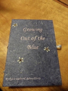 'Out of the Blue', leporello cover